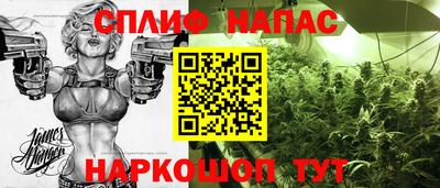 кокаин Гатчина