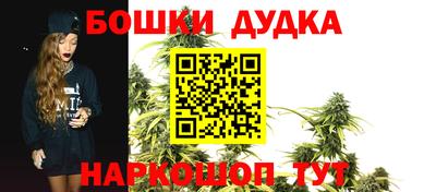 кокаин Гатчина