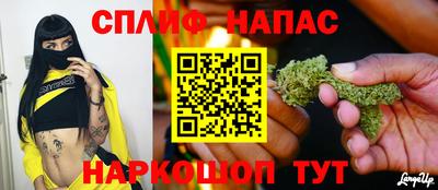 кокаин Гатчина