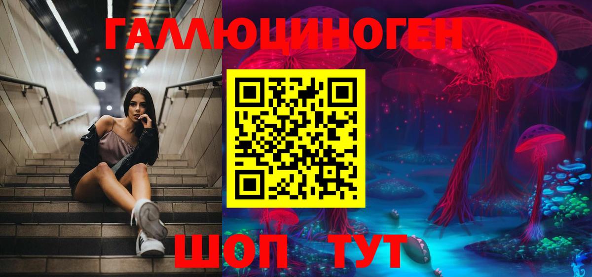 Нижнеудинск  Псилоцибиновые грибы прущие грибы  Вход с VPN 